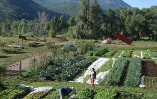 Sustainable Settings