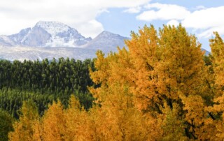 The leaves start to change in Rocky Mountain National Park